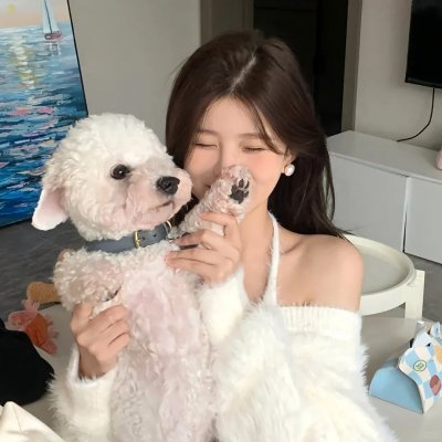 雌雄剑海报