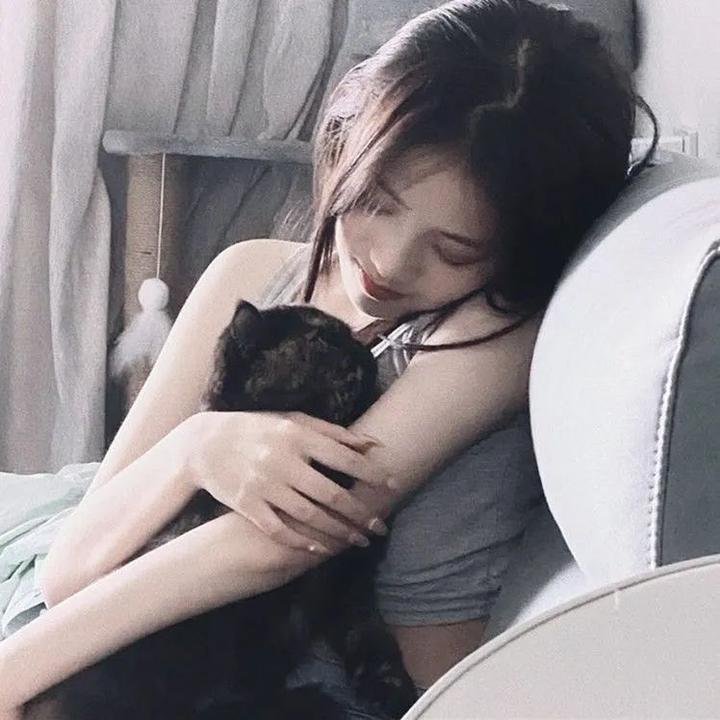 老师的善意谎言海报