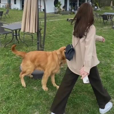 好斗之人海报