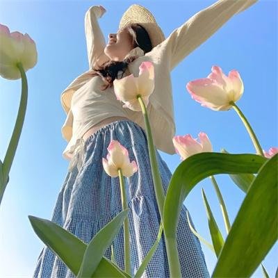 美洲艳后海报